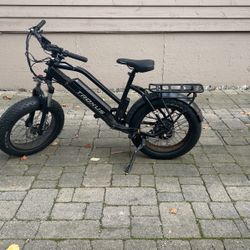 Troxus Fat Tire E-bike