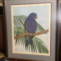 OriginalBeautiful Matted And  Framed 1960s Pictures