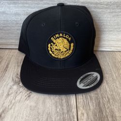 Tomateros de culiacan snapback hat20$