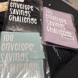 100 Envelope Savings