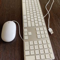 Apple A1243 Slim Aluminum Keyboard white Wired USB - Includes Apple mouse