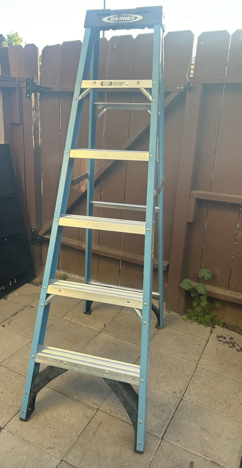 Werner ladder 