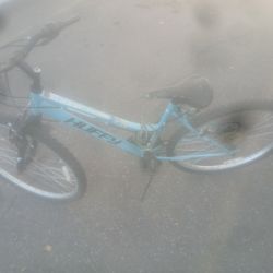 Ladys Bike