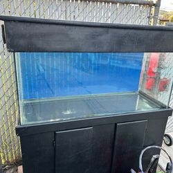 80 Gallon Tank With Stand