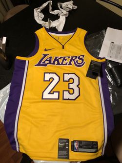 LeBron James Laker Swingman Jersey Size M