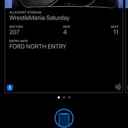 Wrestlemania 41 Las Vegas