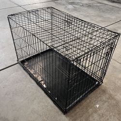 Kennel