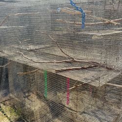 Cage Aviary. Outdoors
