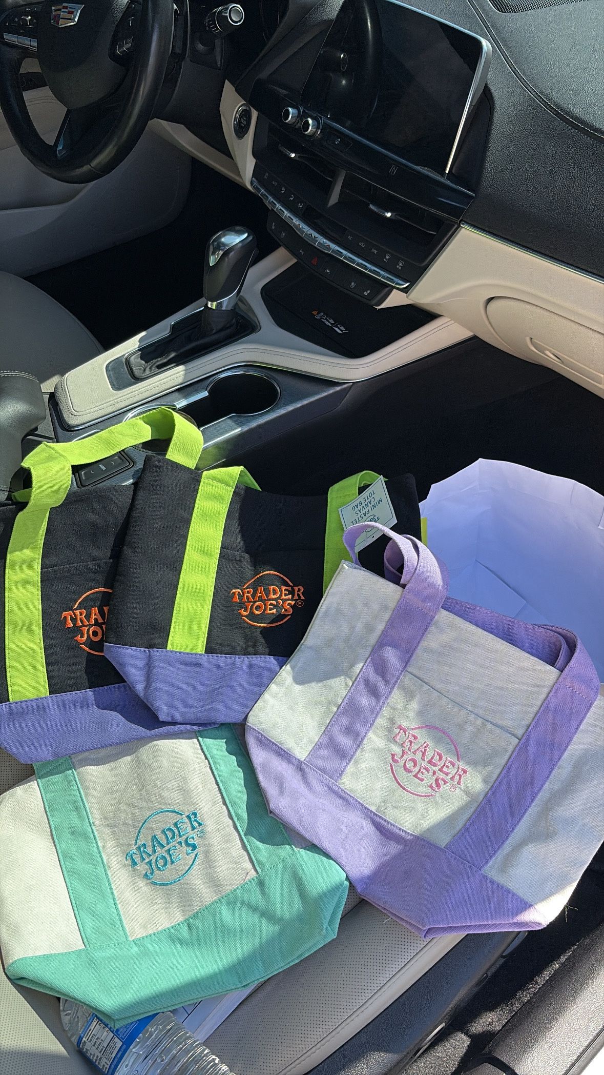 Trader Joe Halloween bag 