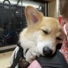 Awe