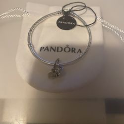 Pandora Bracelet (New Never Worn)