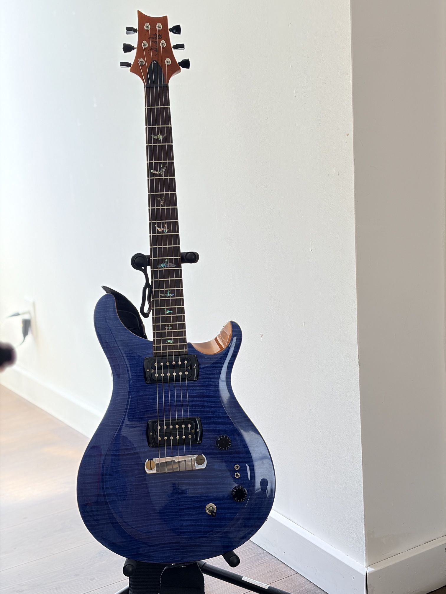 PRS SE Paul’s Guitar (w/ Boss Gx10)