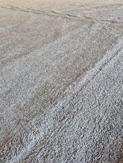 Closeout 🤩 ⭐️ $.99 cents Sq ft Carpet Remanent