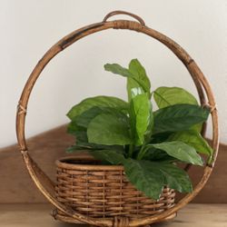 Boho Rattan Plant Holder