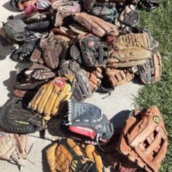 Softball Glove Or Baseball Glove 