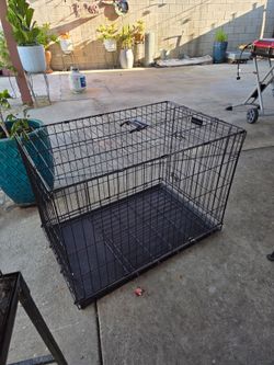 Dog Cage