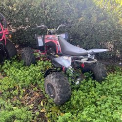ATV and dunebuggy