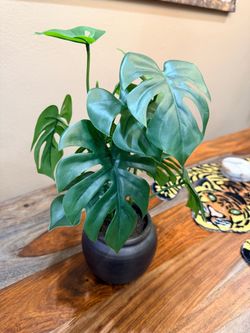 Artificial monstera plant