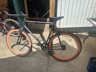 Ski fixie with flip flop hub