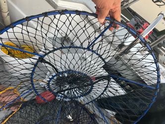 Ambush Lobster Hoop Nets –!