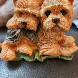 Country Artists Yorkshire Terrier 

