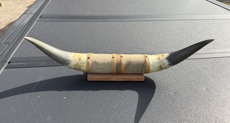 Mounted Steer Bull Horn
