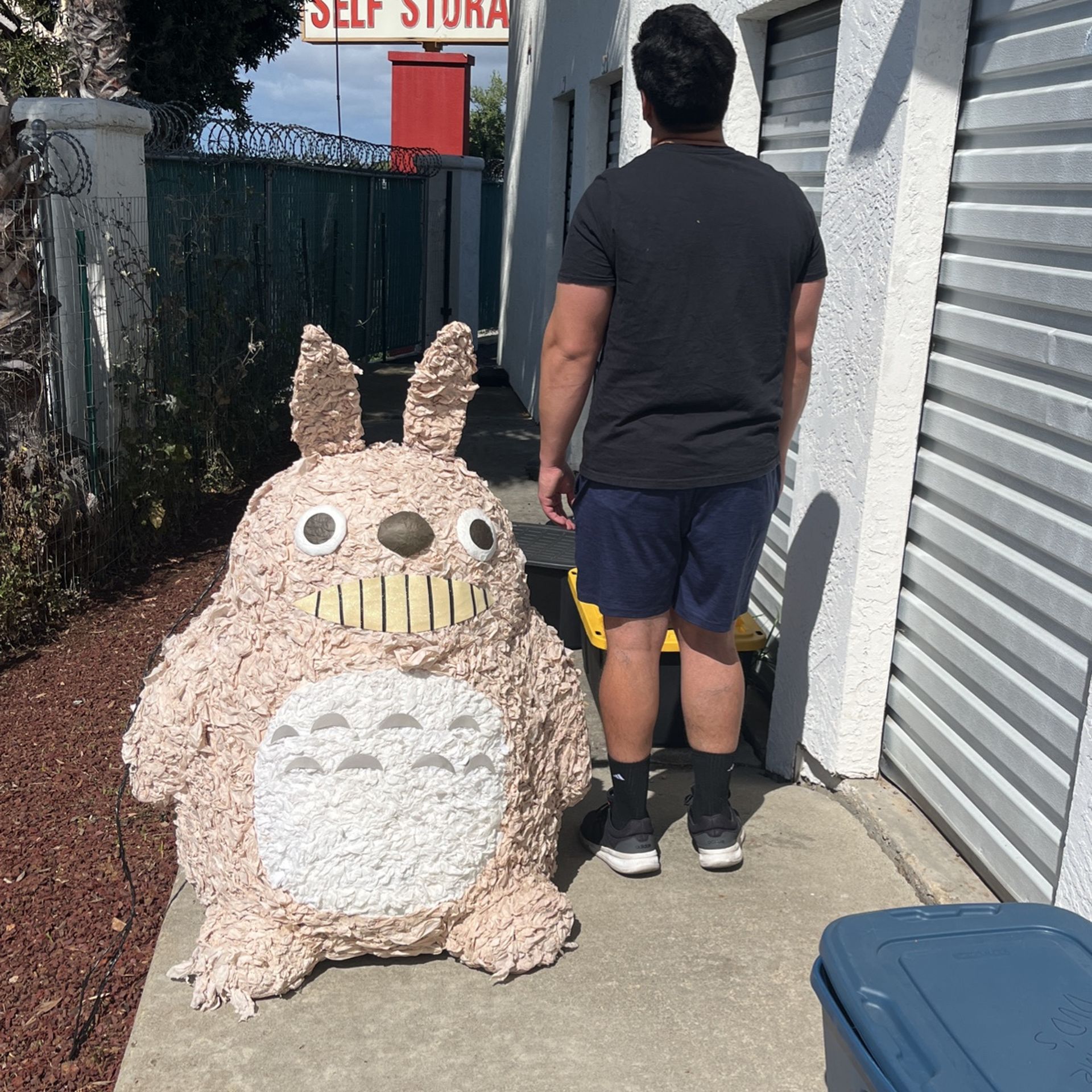 Totoro Piñata