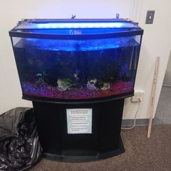Aquarium, Large Fresh Water 36 X 16 X 21