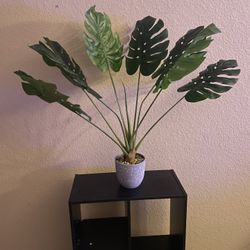 Unadra Artificial Plants
