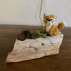 Decorative, Custom Handmade Arizona Petrified Wood Home Decor and Collectable or a Great Christmas Gift