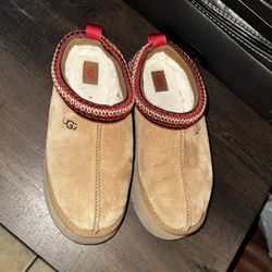 Ugg Tazz II