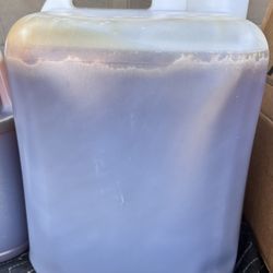 BlackBerry-Georgia Raw Honey - 5 Gallons 