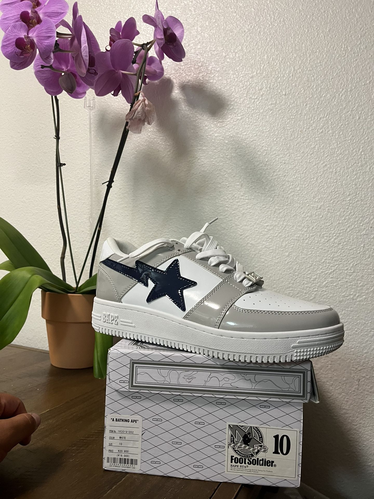Bape Shows