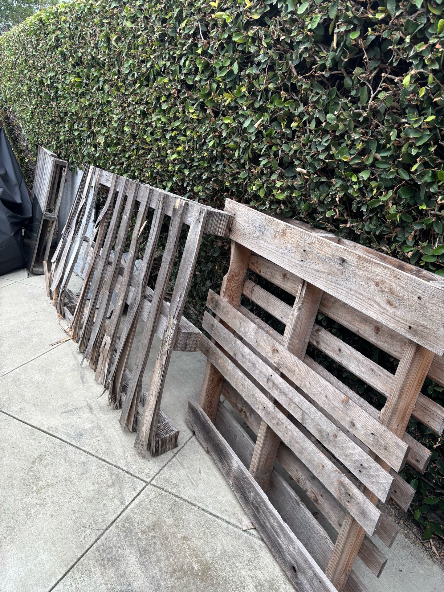 Firewood FREE