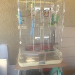 Bird Cage 