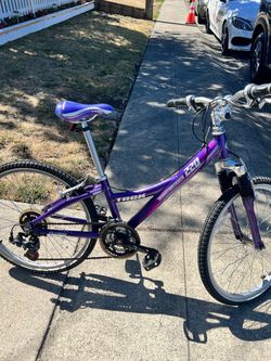Trek mountain mt 220