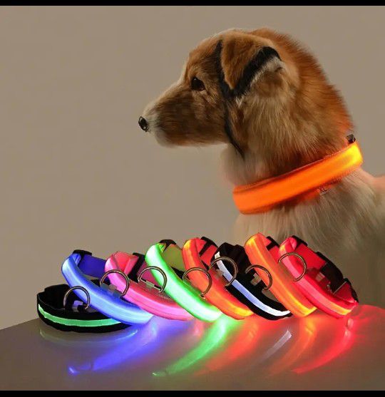 LED Pet Collar 