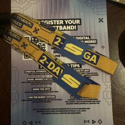 2 WRISTBANDS FOR SKYLINE RAVE LA