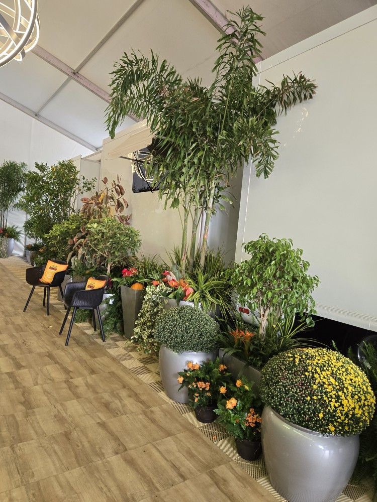 Arizona State Fair Plant Sale (Phoenix)