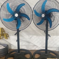 Fan
