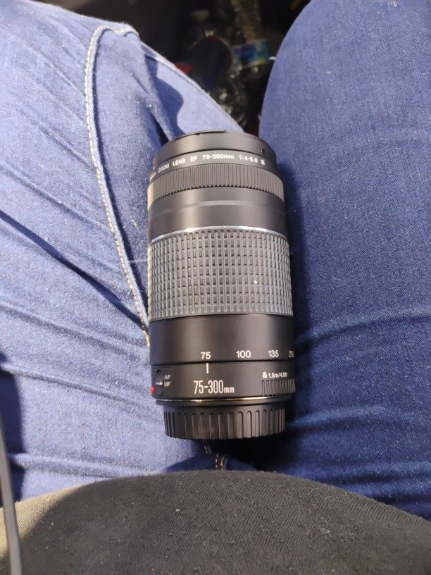 Canon EF 75-300mm f/4-5.6 III Telephoto Zoom Lens.