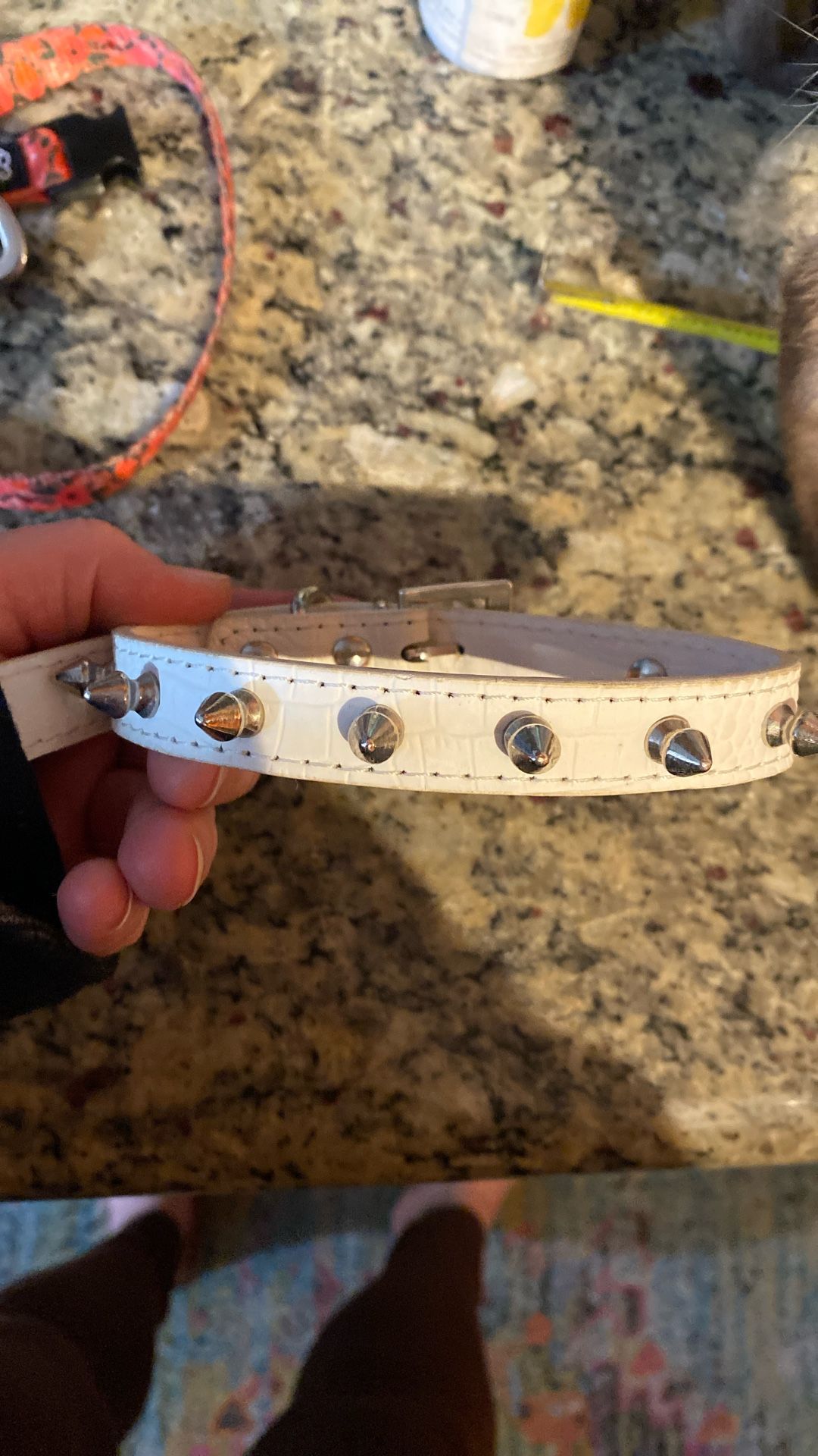 Spiked Dog Collar