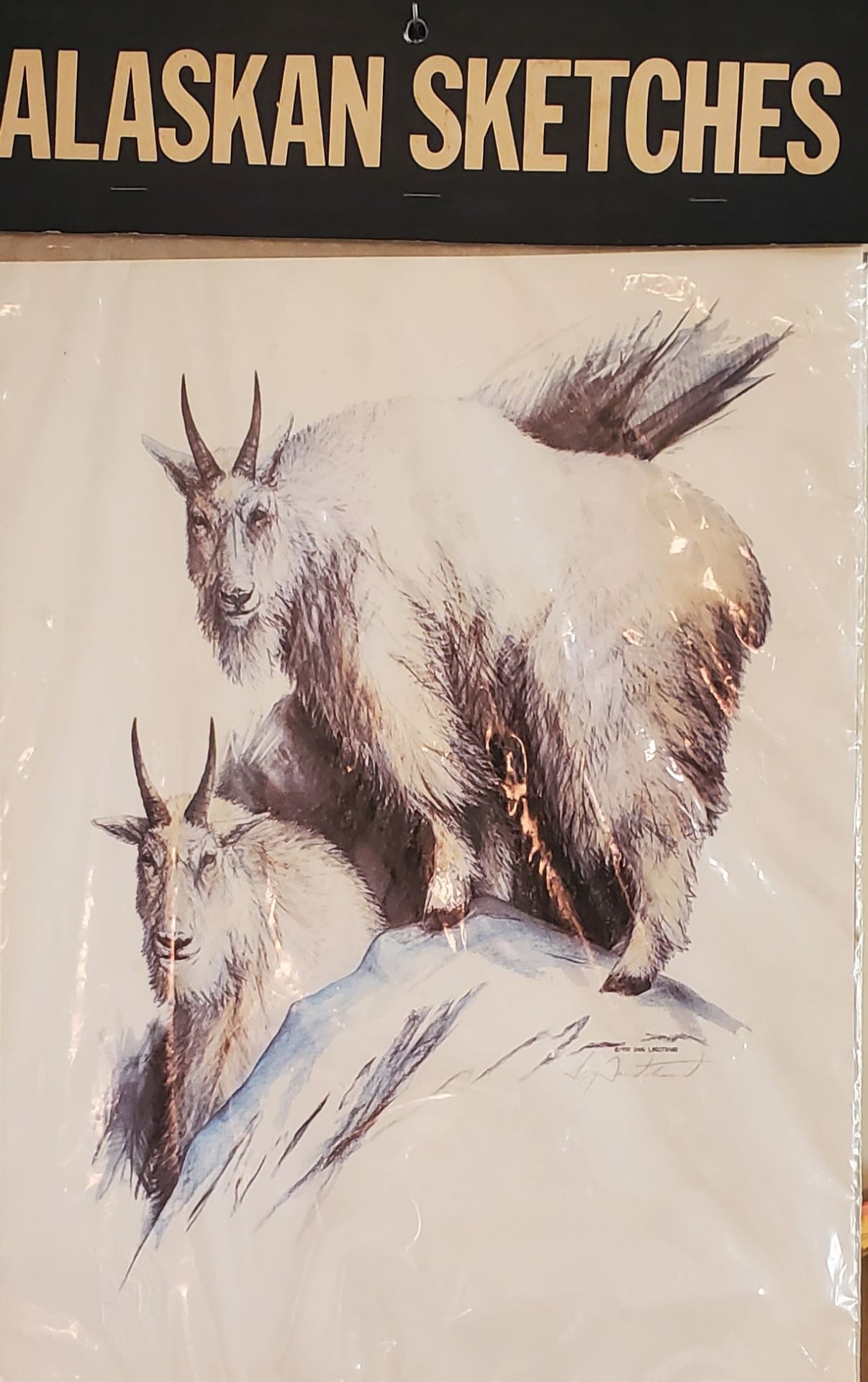 Doug Lindstrand Alaskan Sketches Mountain Goats Limited Edition Art Print 16x12