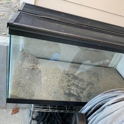 Reptile Tank
