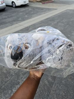 Koala Slippers: Unworn