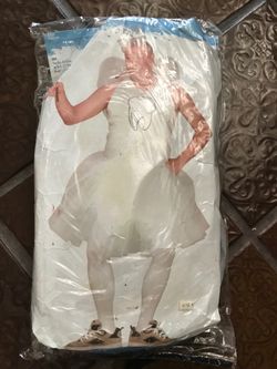 Tooth Fairy Halloween Costume