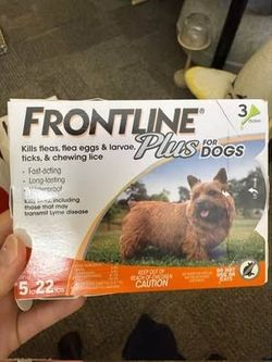 Flea medications for dogs
