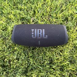 JBL Flip 6 (Waterproof)
