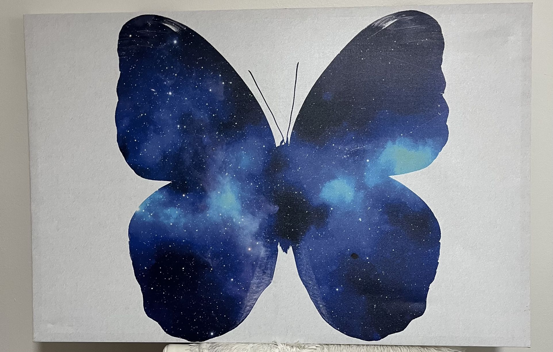 Butterfly Wall Art