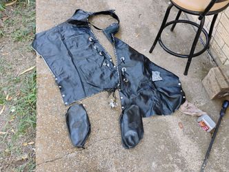 Harley Davidson Flaps